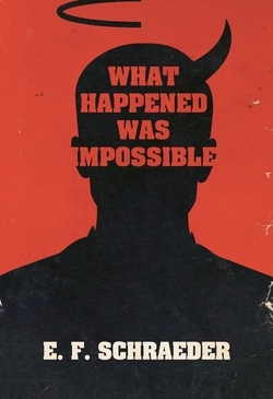What happened was impossible book cover